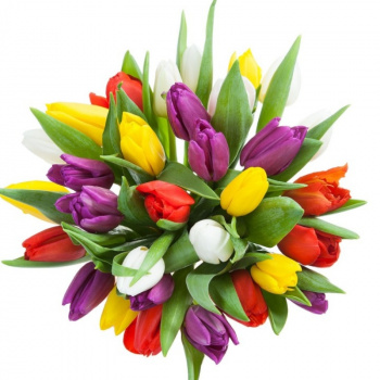 Букет MIX из 27 тюльпанов