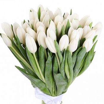 Букет из 31 белых тюльпанов
